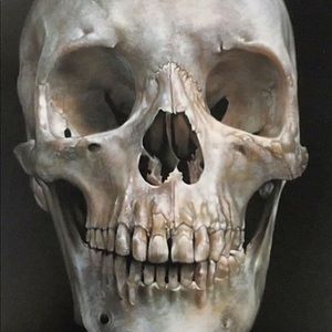 Meet your Posher, Ben